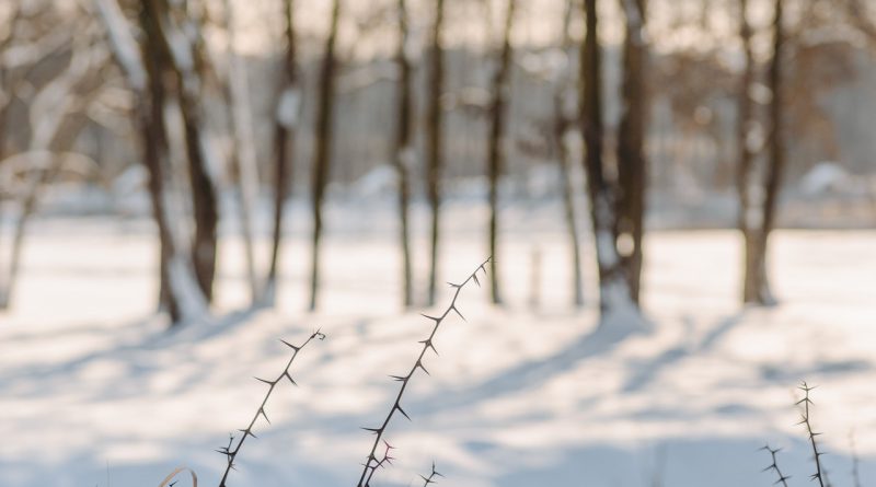 Ferie - dokąd wybrać się zimą?